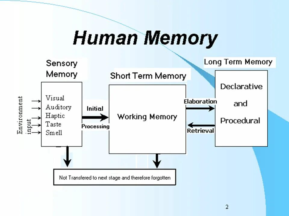 Short memory. Long term Capital Management схемы. Long term Memory. Sensory Memory. What is Memory.