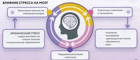 Реакция мозга