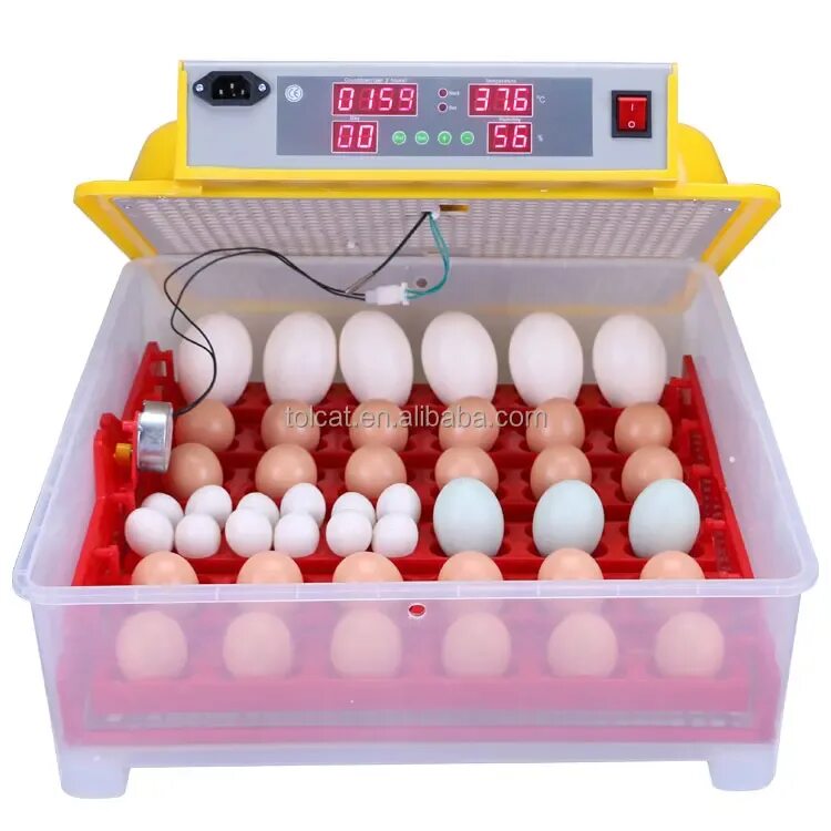 Инкубатор радиус. Инкубатор egg incubator. инкубатор сититек 36. инкубатор для яиц ht1205. инкубатор &quot;wq-24&quot;.