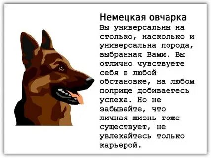 Стихи немецкой овчарки