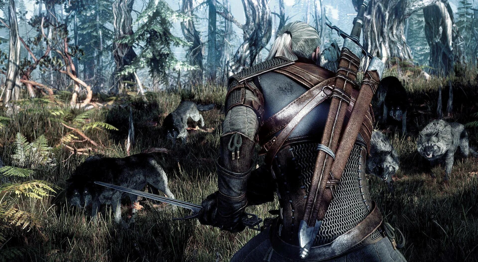 The witcher 3. Ведьмак 3: Дикая охота. Витчер 3 вилд Хант. Ведьмак 3 Дикая охота Дикая охота. Ведьмак 3 охота.