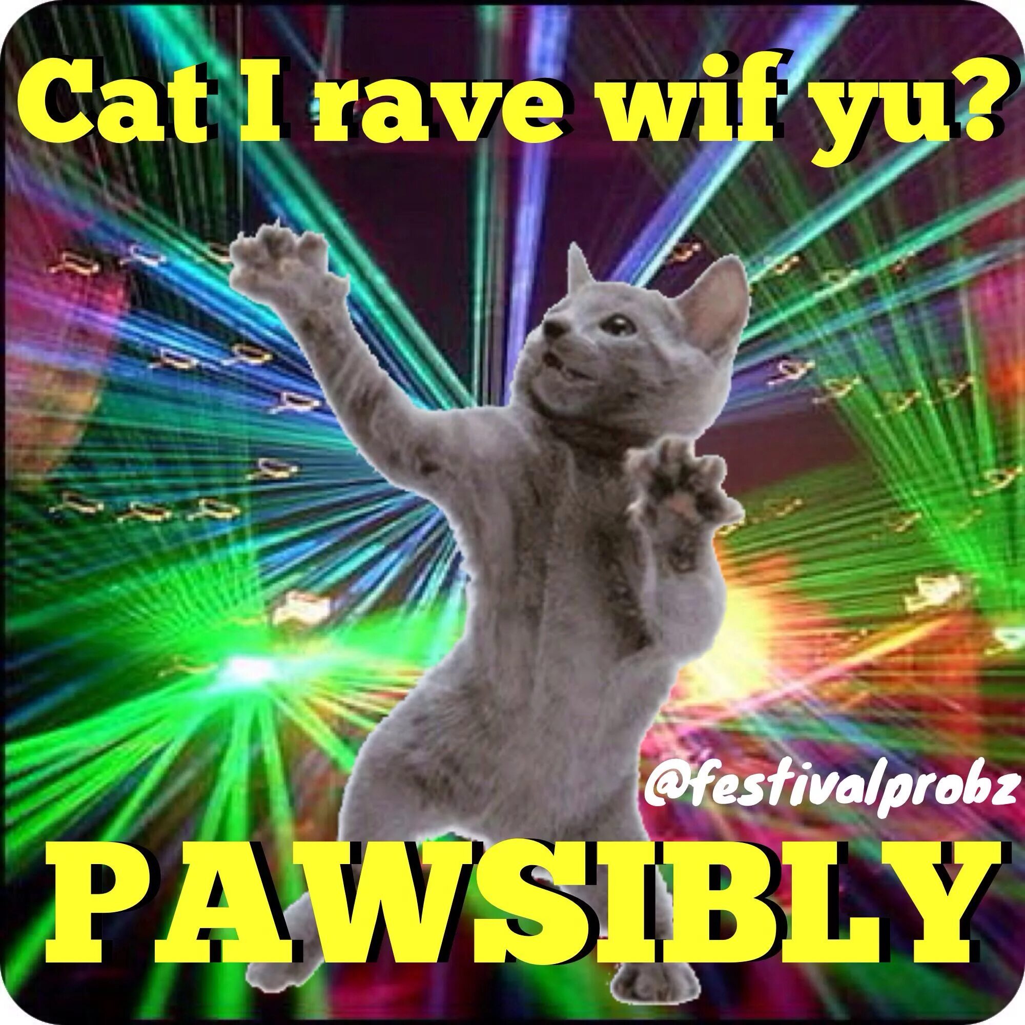 Как запустить рейв. Кот на рейве. rave. рейв коты. рейв мем.