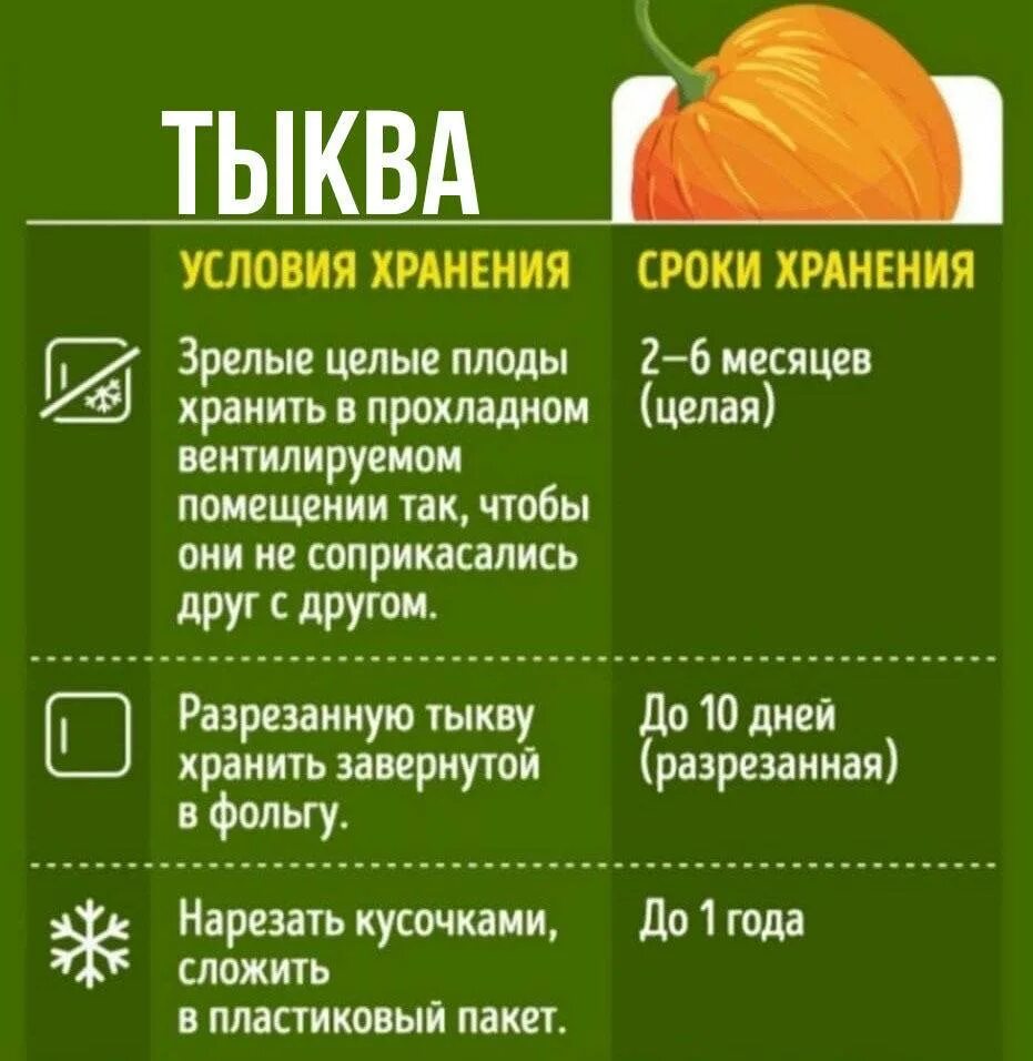 Тыква срок семян. Тыква долго хранится. Срок хранения семян тыквы. Сколько хранится тыква срок годности. Срок хранения замороженной тыквы.