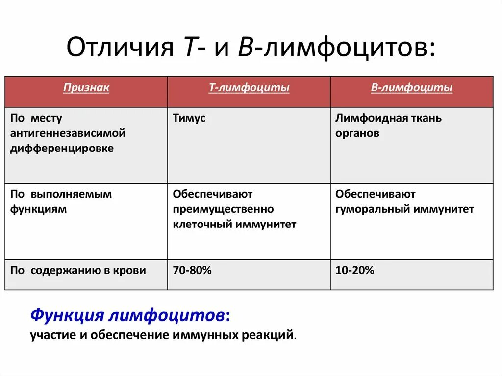 Как отличить б