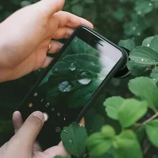 Iphone 15 макросъемка