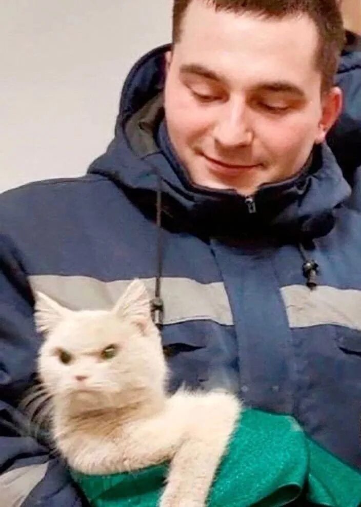 Спас кота мем. Недовольный котик. спасение кота. люди добрые. кот спасатель.