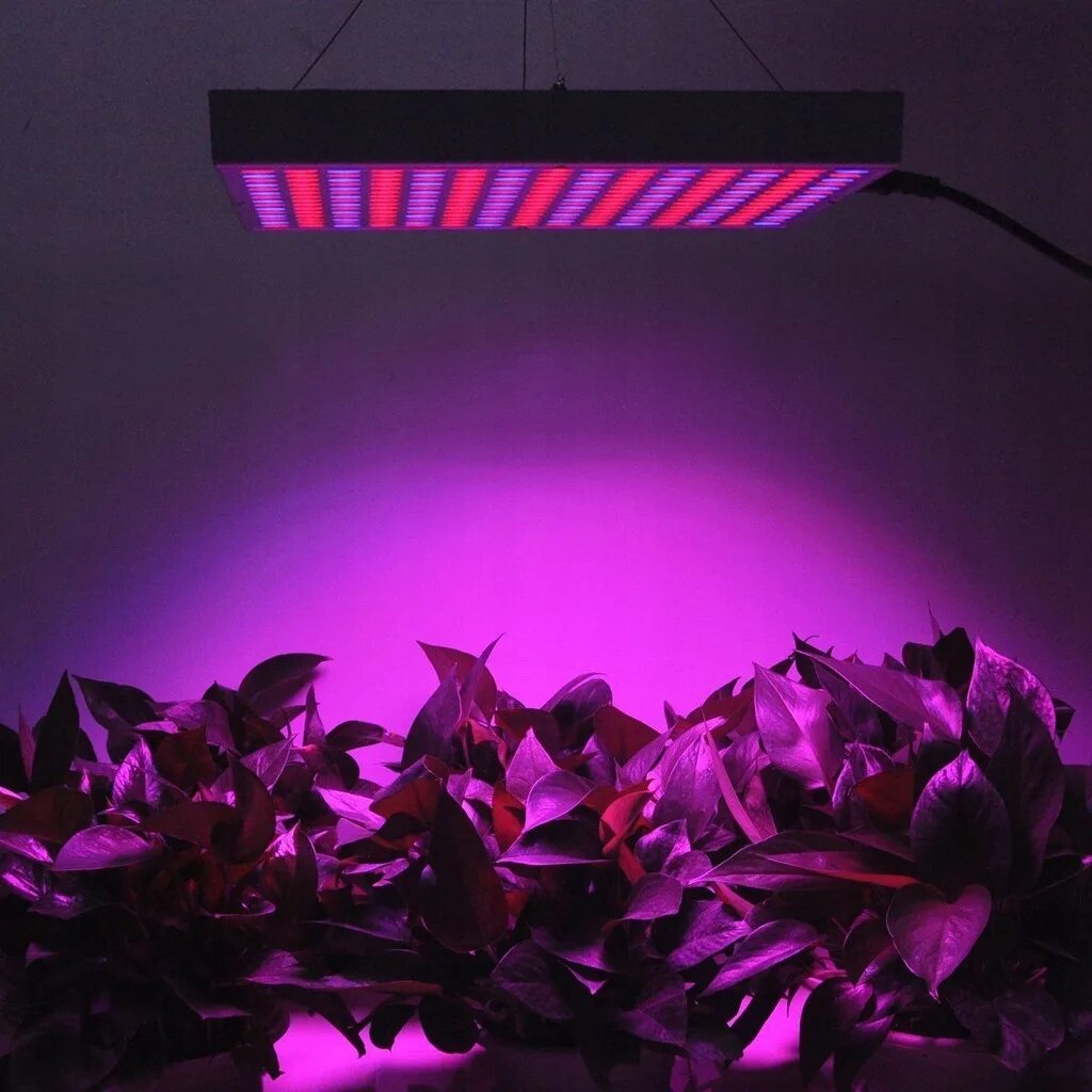 Светодиодная лампа для растений ALIEXPRESS led grow Light. Full Spektrum 45w led grow Light. Plant grow Light led 100. Led панель для растений. Led plant lights