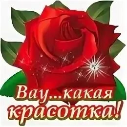 Что она красавица