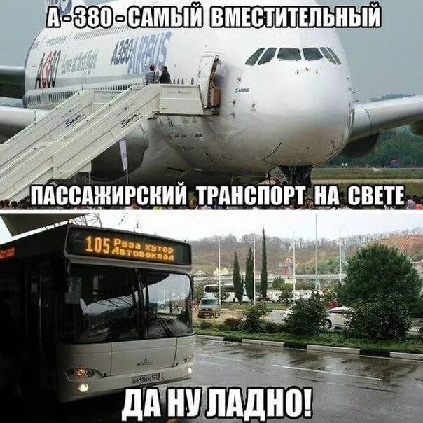 Сочи цитаты. Анекдот про сочи. шутки про сочи. мемы про сочи. сочи юмор.