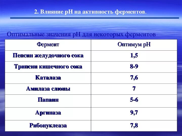 Ферменты конспект кратко. Ферменты химия 10 класс презентация. Ферменты химия 10 класс. Ферменты конспект по химии 10 класс.