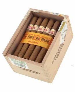Hoyo link