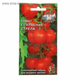 Томат красная стрела отзывы фото урожайность