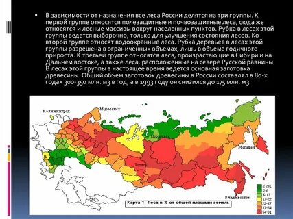 Состояние леса