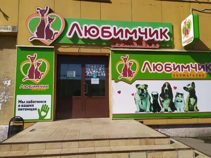 Мой любимчик