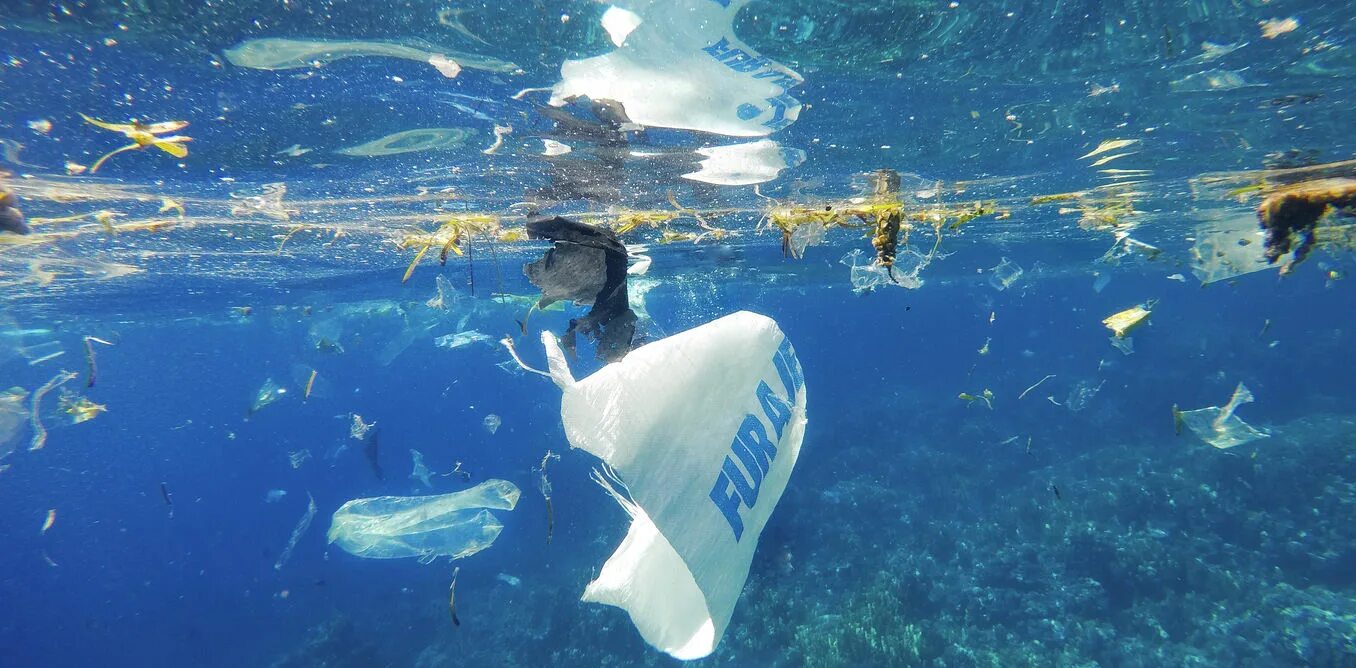 Современные проблемы океана. Пластик в океане. Загрязнение мирового океана. Проблемы мирового океана.