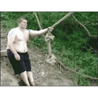 Пол пьяного тарзана