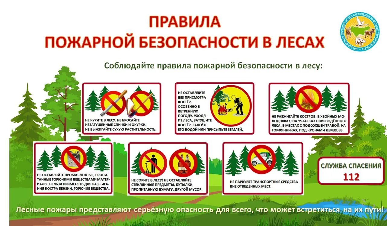 Правил пожарной безопасности в лесах 2020