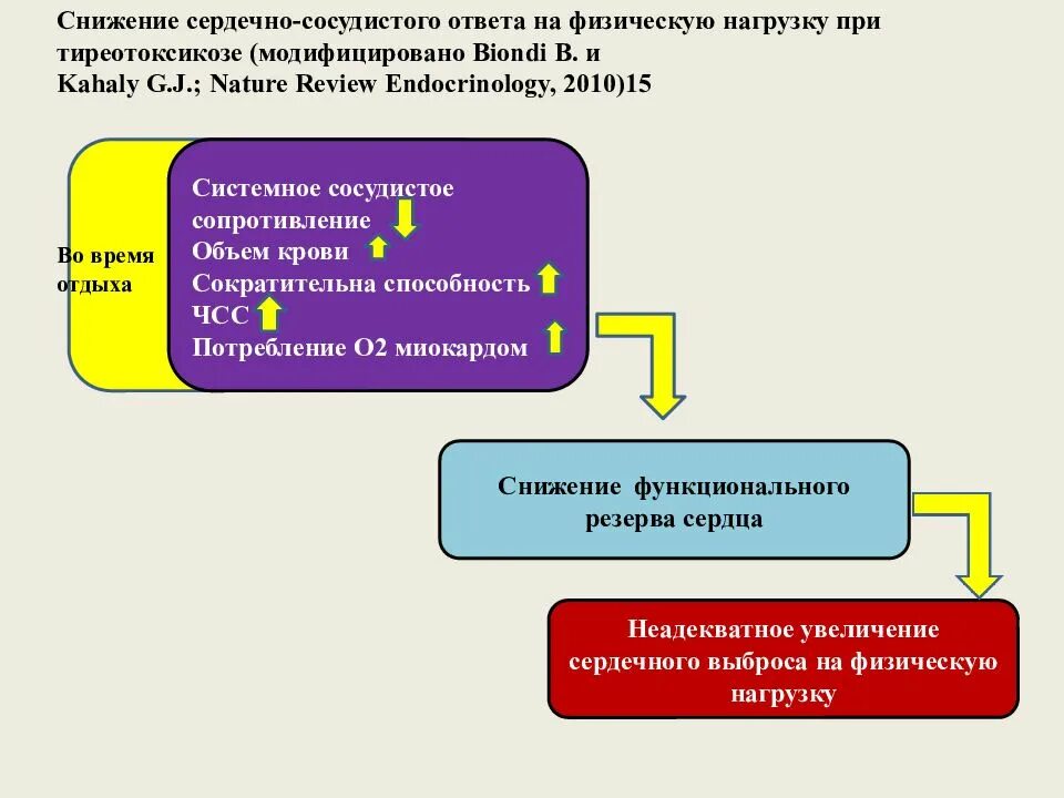 Физические нагрузки при тиреотоксикозе. Базедова болезнь патогенез. Системное сосудистое сопротивление. ЧСС при тиреотоксикозе. Модель потребностей грейвса