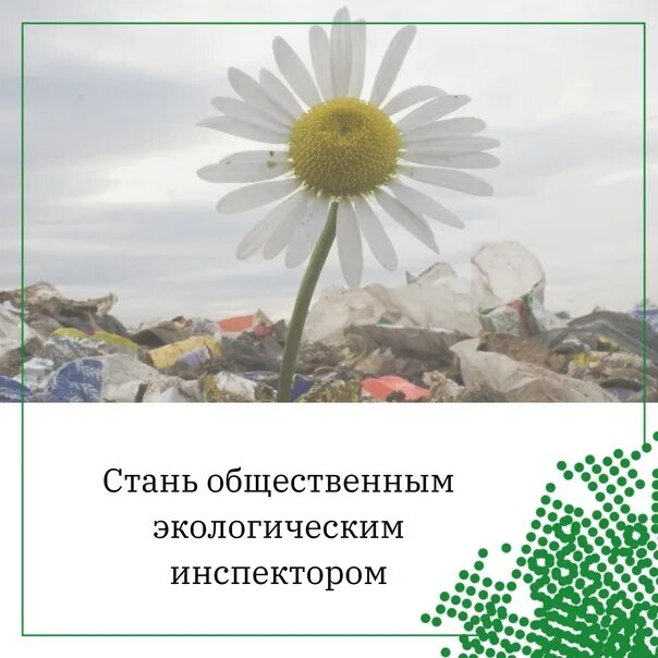 Как стать общественным защитником. Экологический инспектор. общественный экологический инспектор. как стать экологическим инспектором. моя папа инспектор экологии.