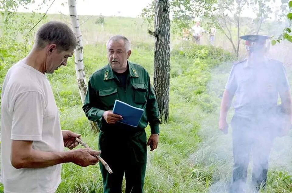 Патрулирование пожара в лесу. Охрана лесов. Экологические правонарушения. Минприроды нарушения