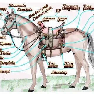 Порно романтикалық және әдемі
