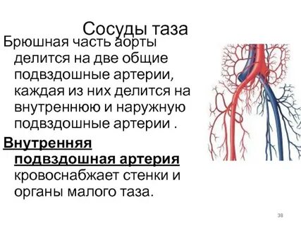 Самая крупная артерия называется