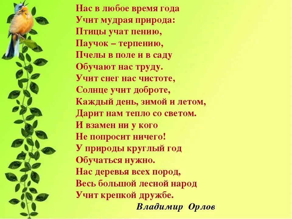 Песни русских птиц. Стихи о природе. Красивые стихи про при. Детские стихи о природе. Красивое стихотворение о природе.