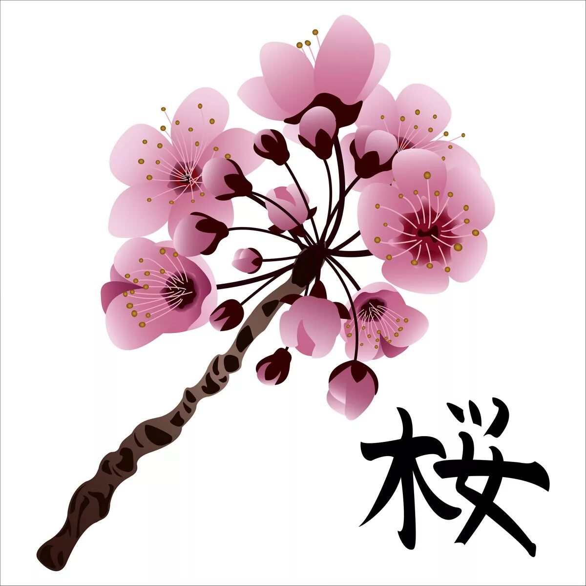Сакура что означает. Японские символы Сакура. Иероглиф Сакура. Японский иероглиф цветок. Китайские символы и Сакура.