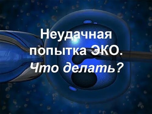 Неудачно форум. Неудачное эко. причины неудачного эко. неудачная попытка эко что дальше.