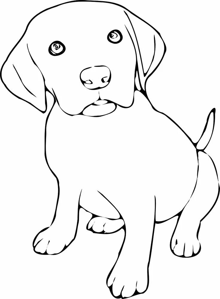 Картинки нарисованных домашних животных Hund Katze Haustier Kostenlose Vektorgrafik auf Pixabay Amor perruno, Perros,