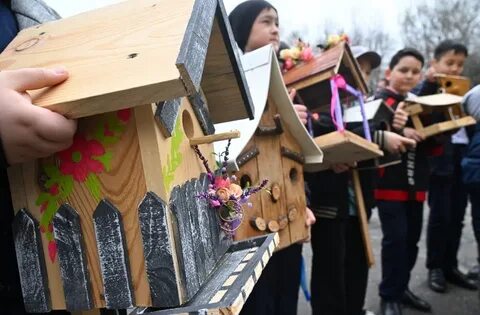 Ұлттық монша порно фильмінің ерекшеліктері