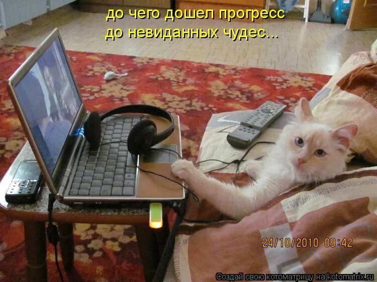 Прогресс до невиданных чудес. До чего дошел прогресс. До чево дошëл прогрэсс. Слова песни до чего дошел прогресс текст. До чего дошёл прогресс текст.