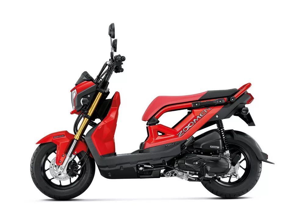 Хонда zoomer. Honda zoomer 50. Honda zoomer x 50. Скутер хонда зуммер 150. Honda zoomer 150.