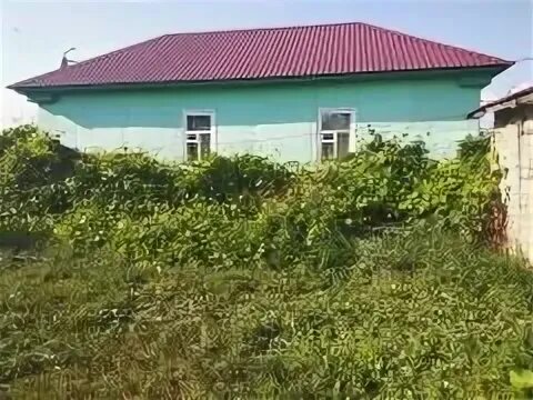 Здания в кирсанове тамбовская область. Кирсанов первомайская улица дом. Недвижимость кирсанов ул тенистая. Кирсанов улица спортивная. Здания в кирсанове тамбовская область.