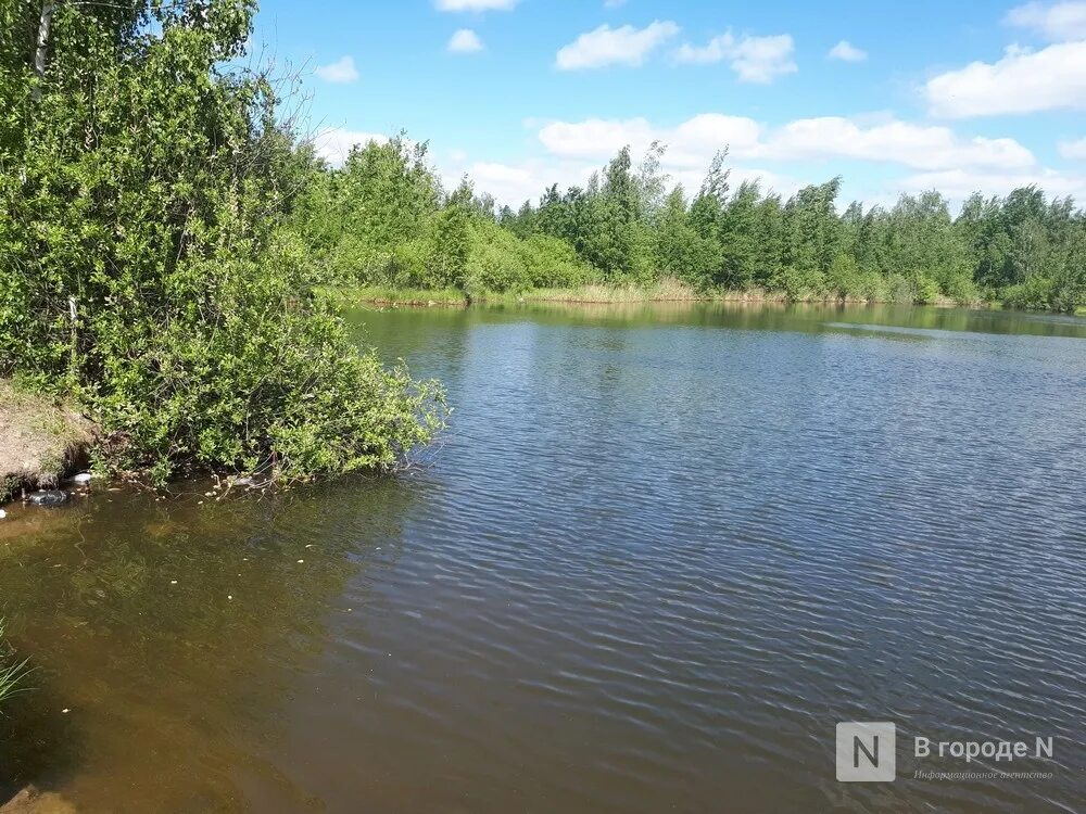 Ветлуга нижегородская новости. Река Ветлуга Краснобаковский район. Затон Краснобаковский район водная. Ветлуга Краснобаковский район. Вода на реке Ветлуга.