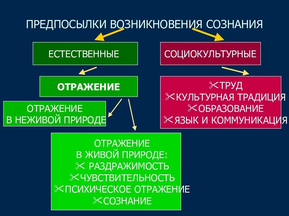 Предпосылки возникновения философии. Предпосылки возникновения сознания. предпосылки формирования сознания. социальные предпосылки возникновения сознания. предпосылки возникновения сознания и его социальная сущность..