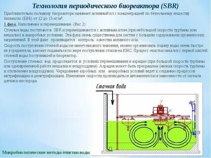 Примерно половина