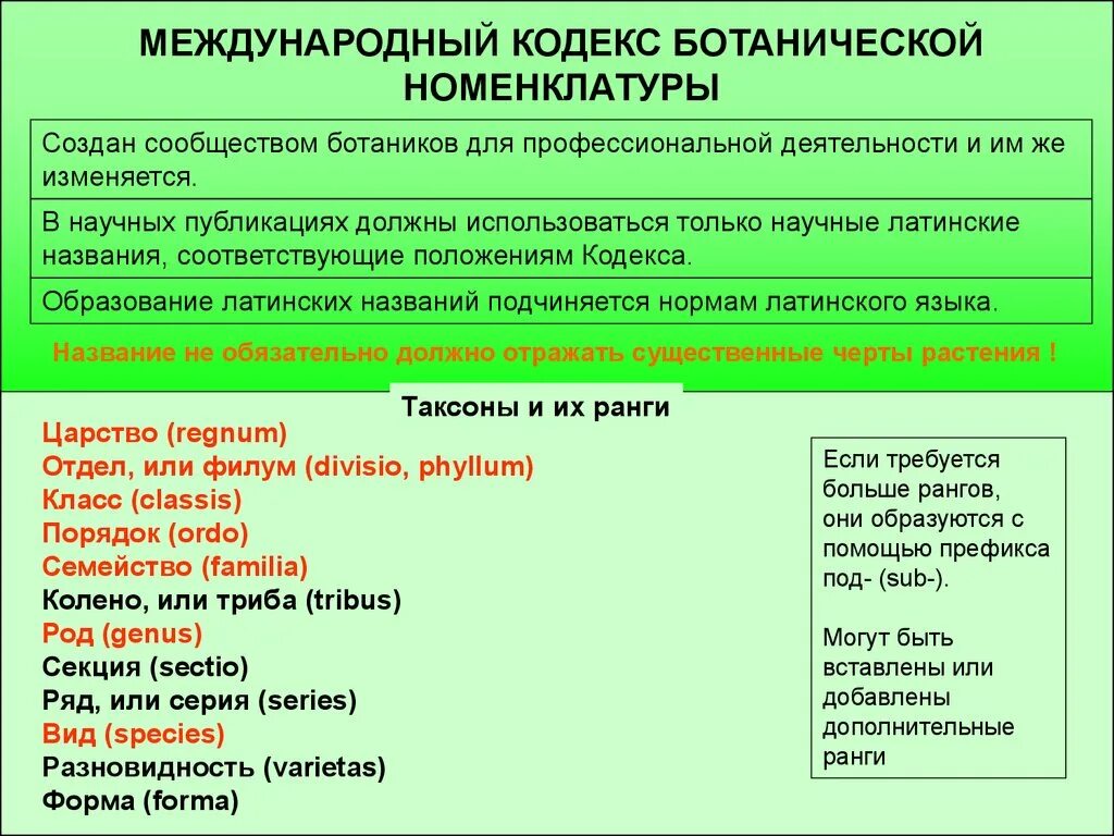 Международный кодекс Ботанической номенклатуры. Ботаника термины. Систематика. Систематика растений на латинице. Деятельность латынь