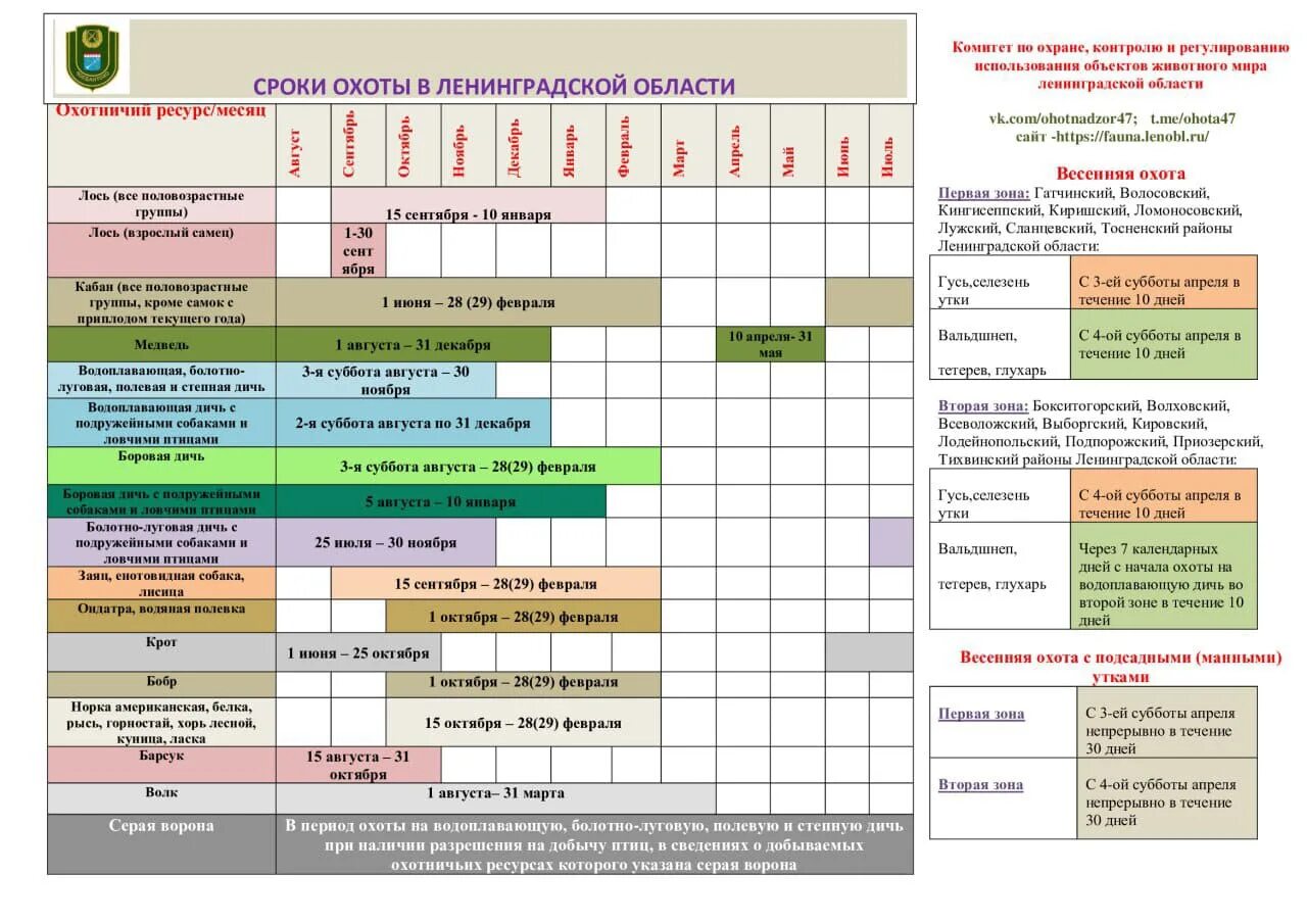 С какого числа открывается охота. Сроки охоты. Периоды охоты в Ленинградской области. Пкриуды охоты. Сроки охоты в Ленинградской области 2023.
