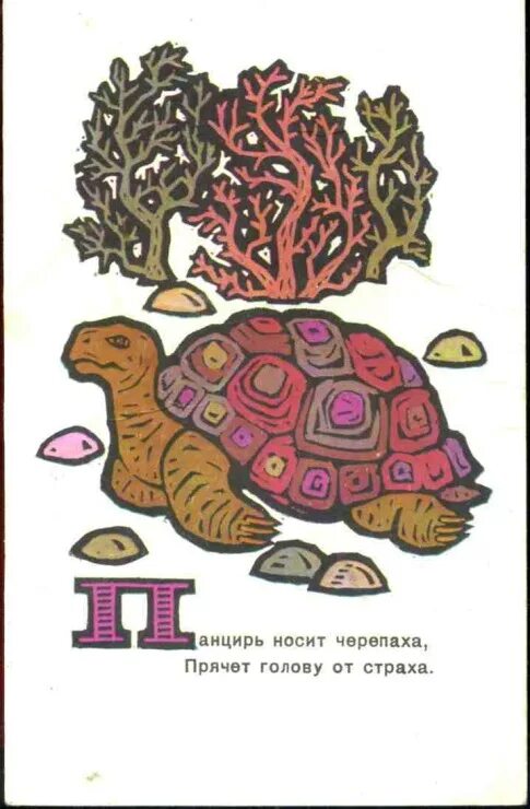 Какой овощ всегда с собой черепаха