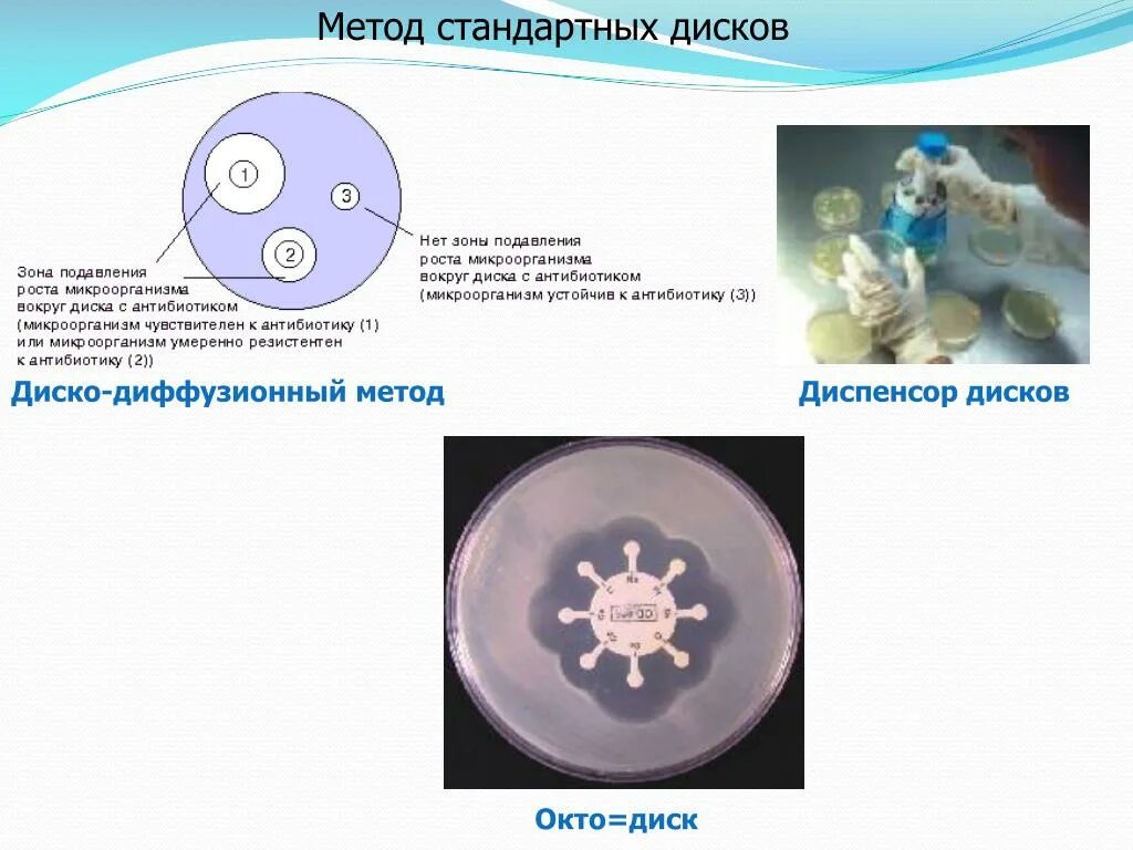Диско диффузионный метод определения. Метод индикаторных дисков микробиология. антибиотикограмма методом стандартных дисков.