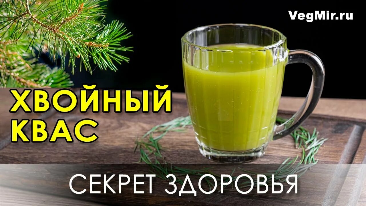 Хвойный квас. Квас из хвои сосны. Еловый квас. Чай с хвоей.