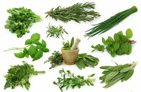 Трава продукты