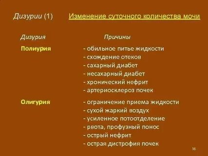 Ночная полиурия причины