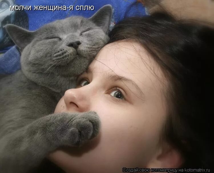 Хочу кота. Кот тихо. Кот мурлычет. Молчаливый кот. Хочу своб