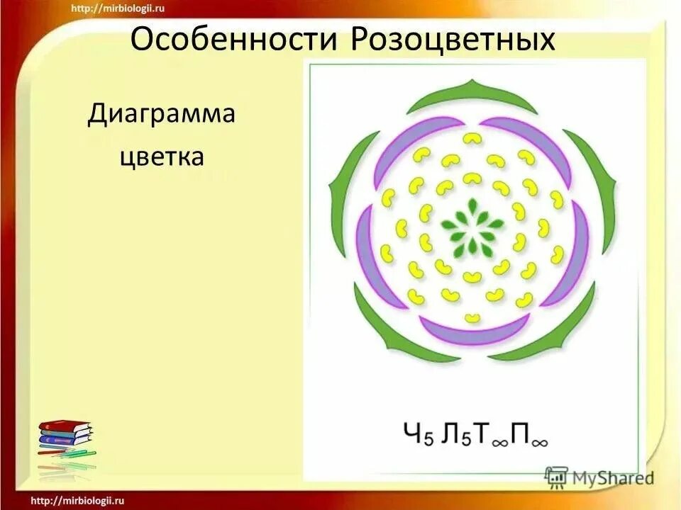 Ч5л5т5п1 к какому классу относят