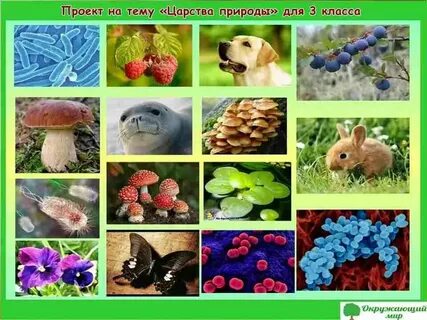 Классы природы какие есть