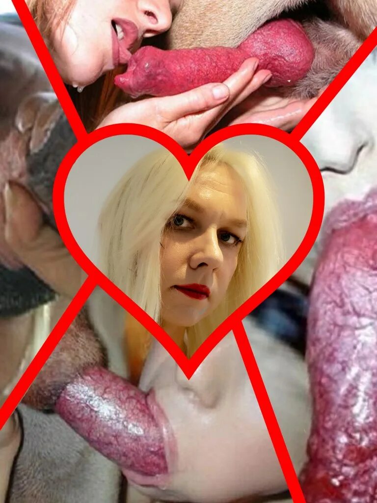 Sucking Dog Dig Порнофильм