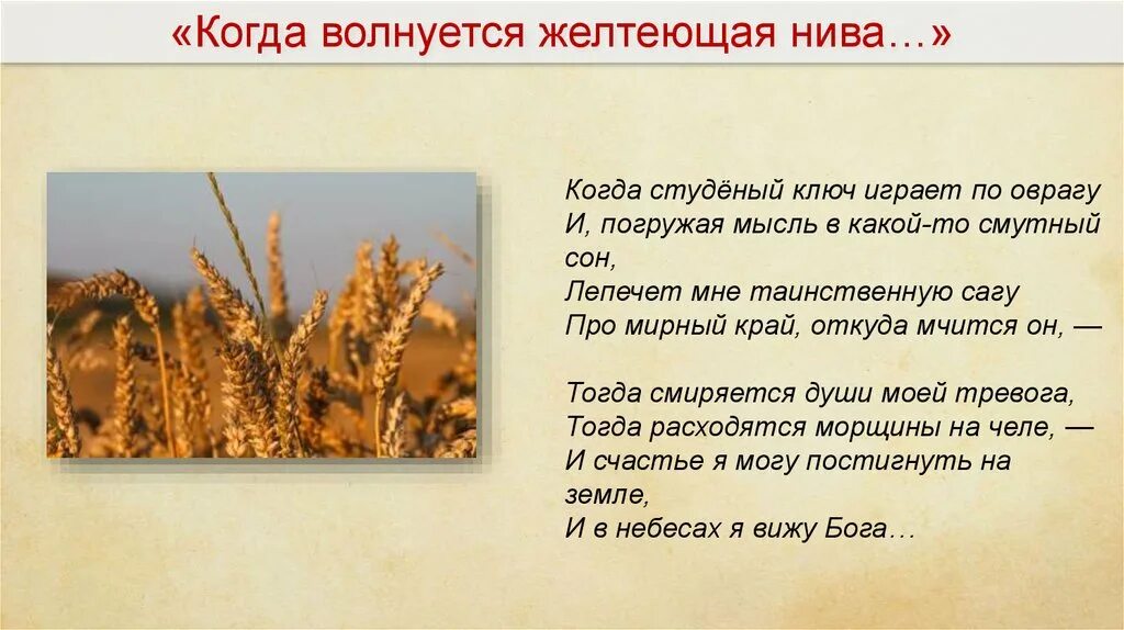 М.Ю.Лермонтова "когда волнуется желтеющая Нива...". Желтеющая Нива Лермонтов стих. М Ю Лермонтов стихотворение когда волнуется желтеющая Нива. Стих Лермонтова Нива.