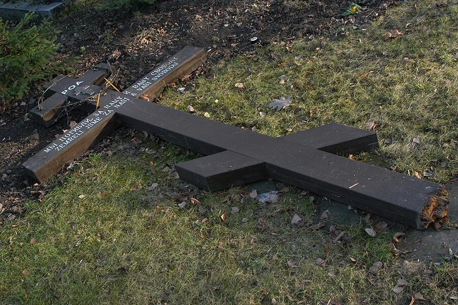 Упавший крест на могиле. Ольшанское кладбище памятник роа. ольшанское кладбище прага крест памятник роа. ольшанское кладбище в праге.